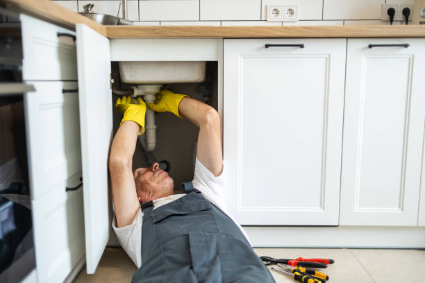 Best Plumbing Services Near Me  in La Vergne, TN